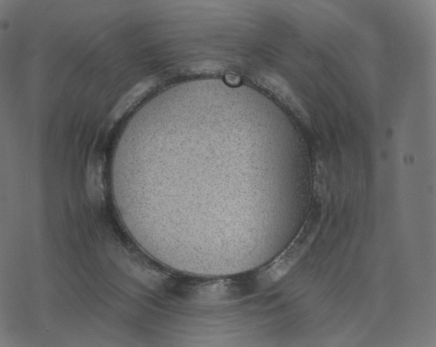 X0000070370116200606231657