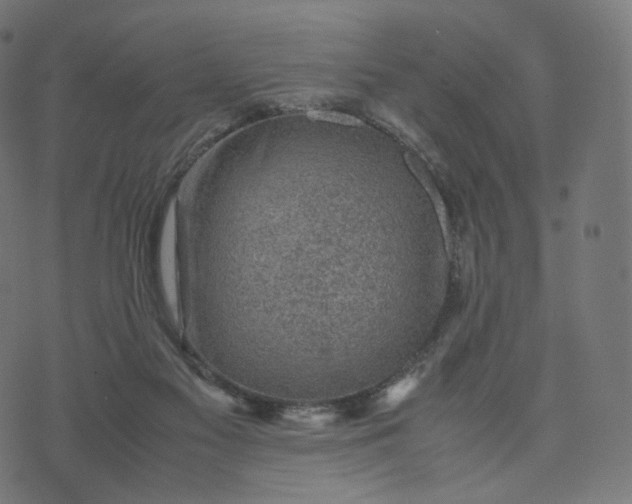 X0000070370117200606231657