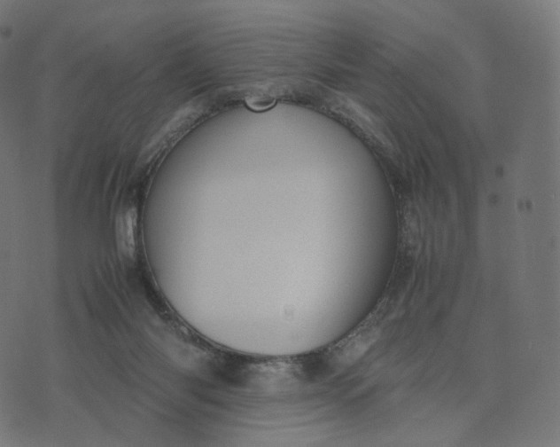 X0000070370118200606231657