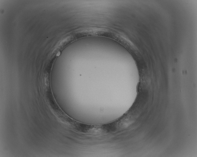 X0000070370119200606231657