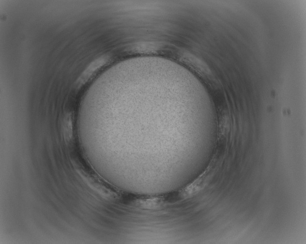 X0000070370120200606231657