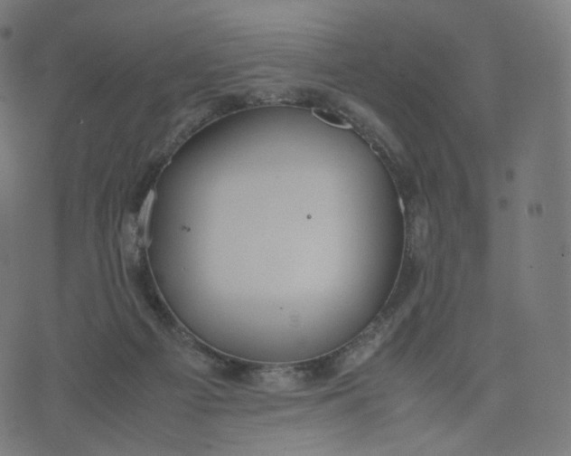 X0000070370121200606231657