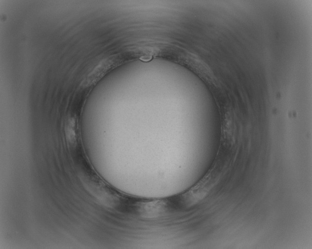 X0000070370122200606231657