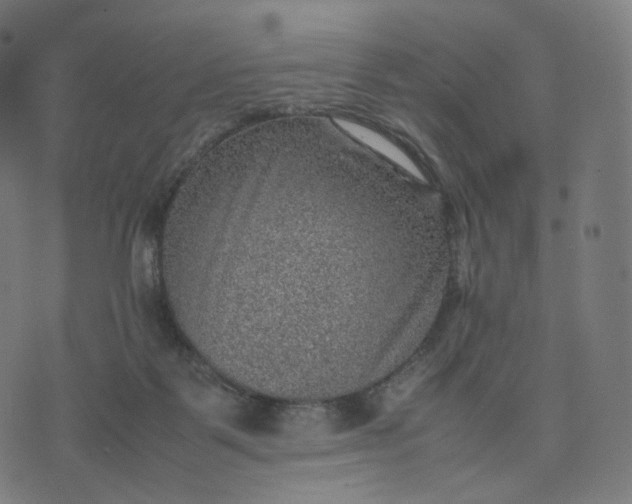 X0000070370123200606231657