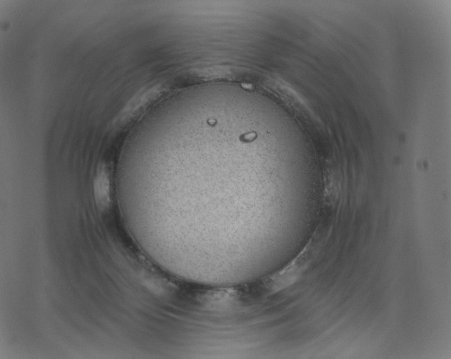 X0000070370124200606231657