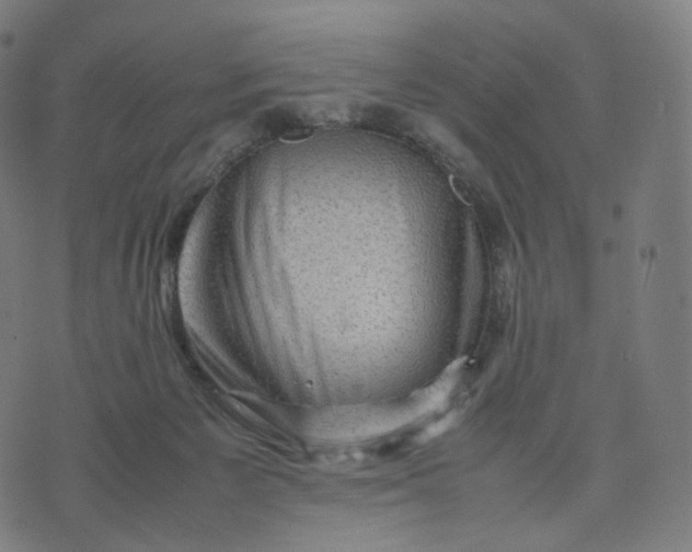 X0000070370125200606231657