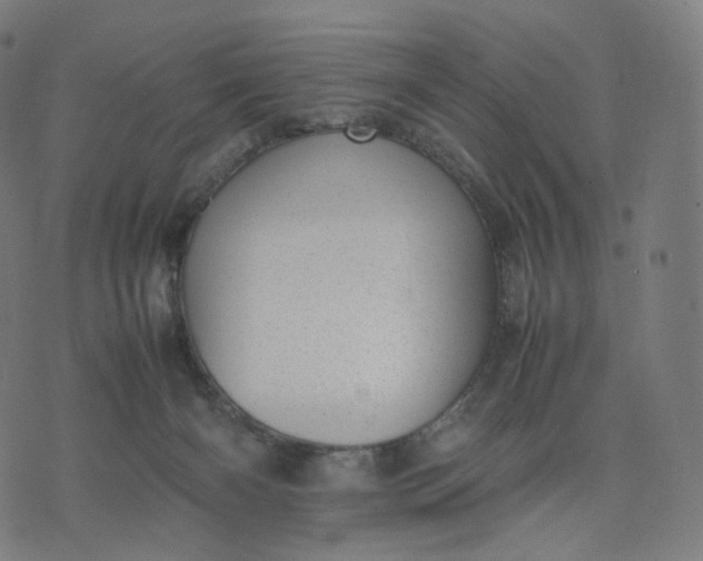 X0000070370126200606231657