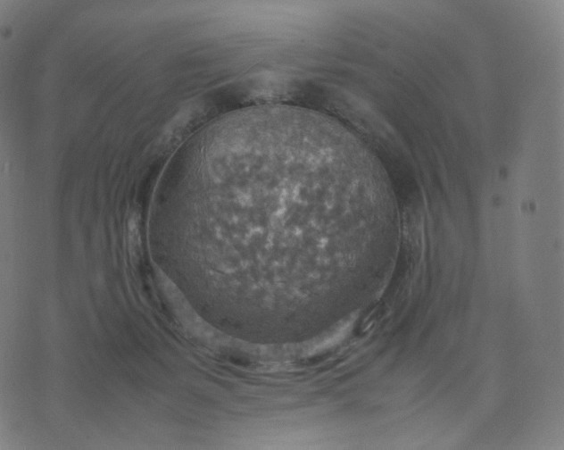 X0000070370127200606231657