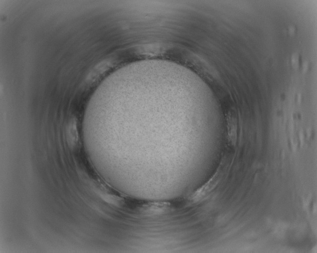 X0000070370128200606231657