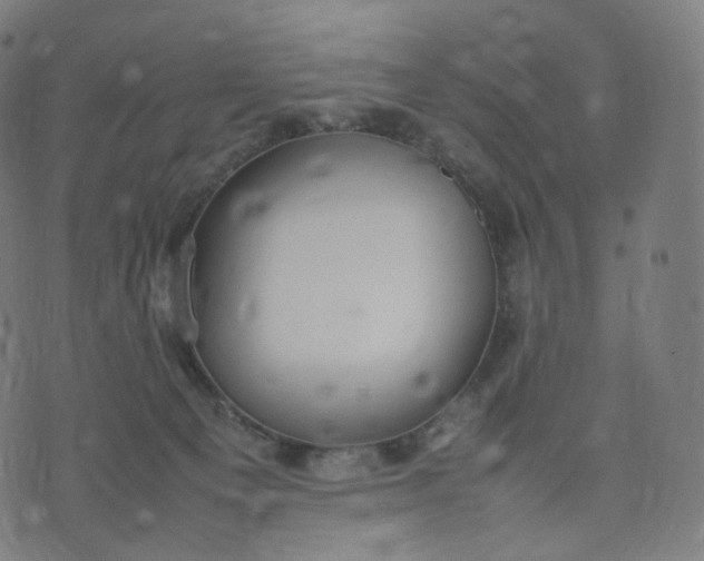 X0000070370129200606231657