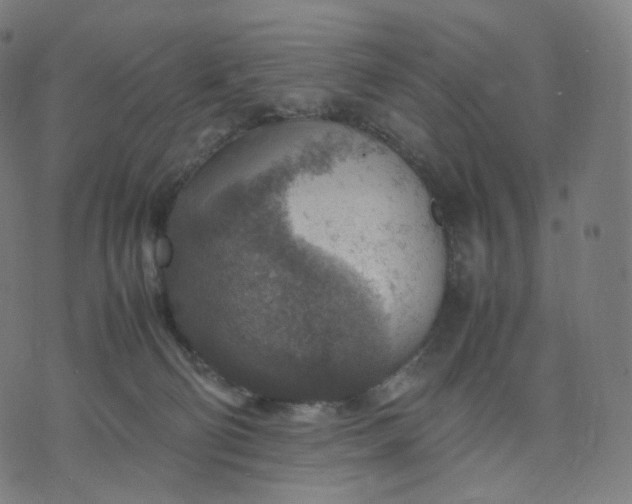 X0000070370130200606231657