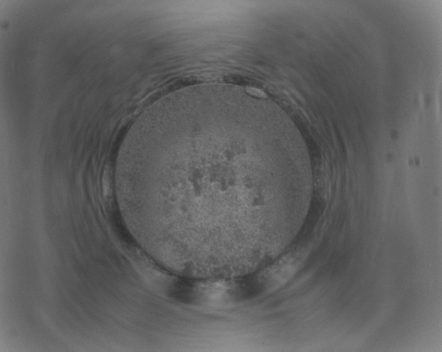 X0000070370131200606231657