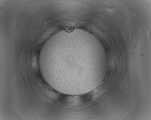 X0000070370132200606231657