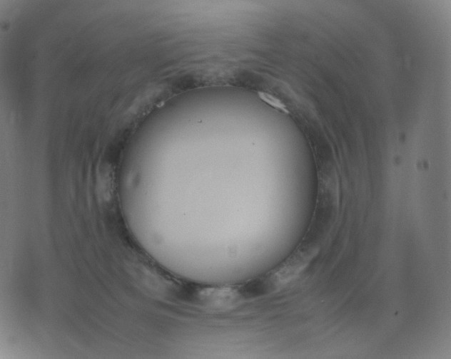 X0000070370133200606231657