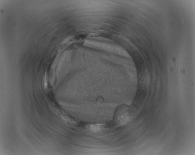 X0000070370134200606231657