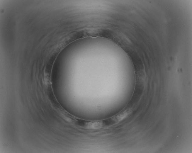 X0000070370135200606231657