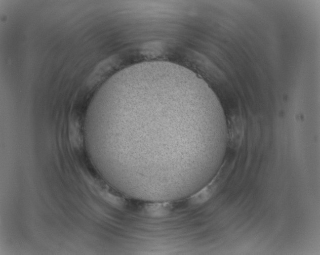 X0000070370136200606231657