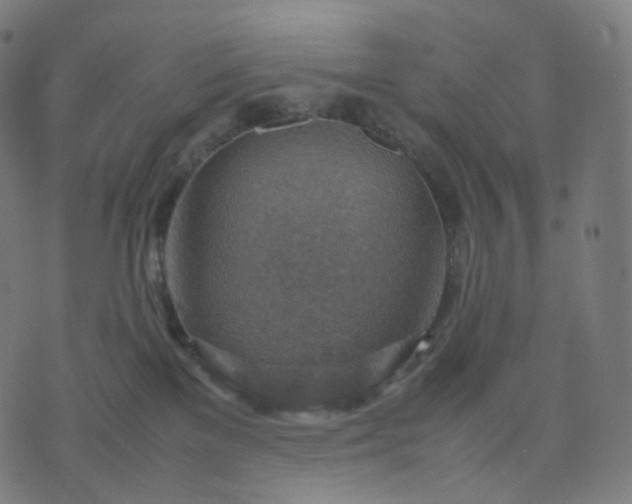 X0000070370137200606231657