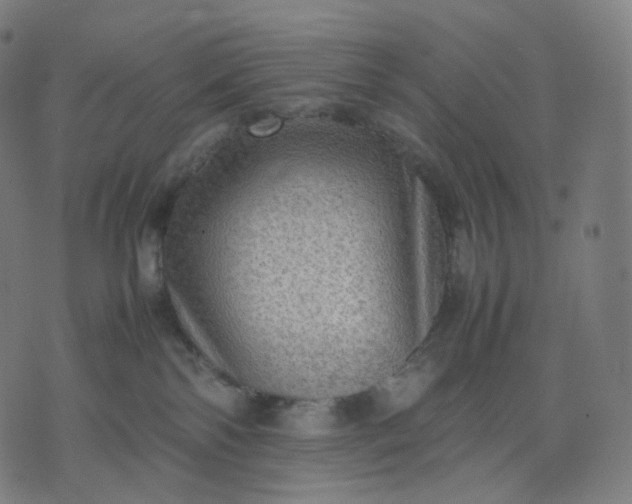 X0000070370138200606231657