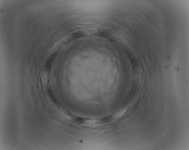 X0000070370139200606231657