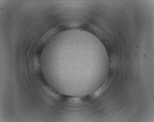 X0000070370140200606231657