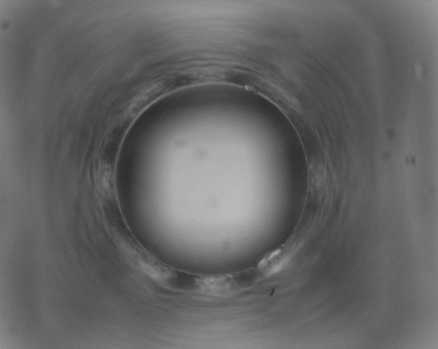 X0000070370141200606231657