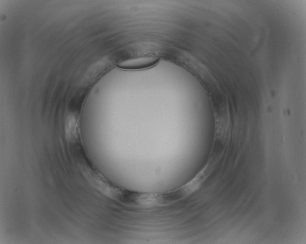 X0000070370142200606231657