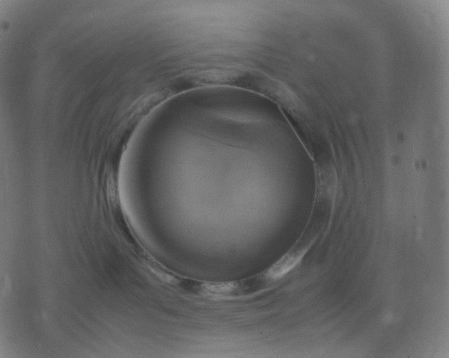 X0000070370143200606231656