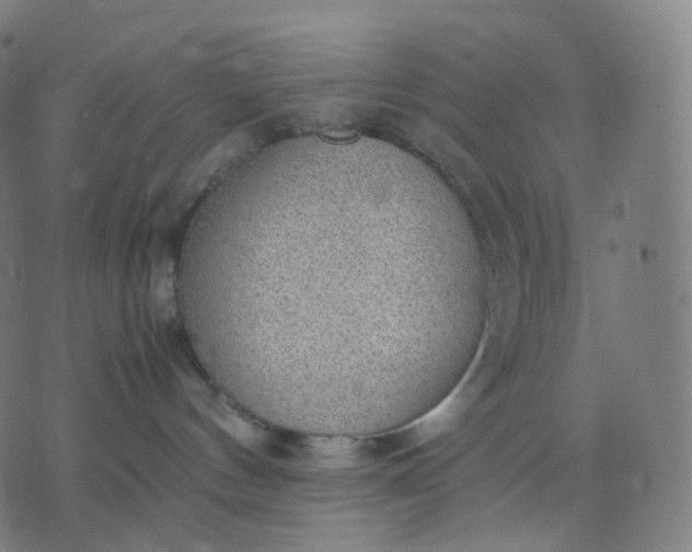 X0000070370144200606231656