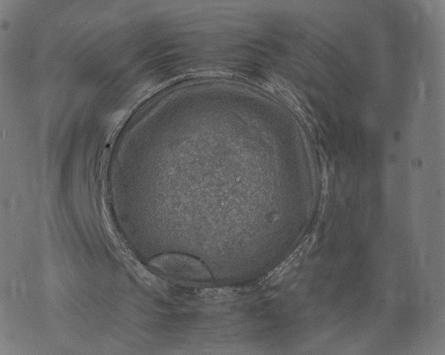 X0000070370145200606231656