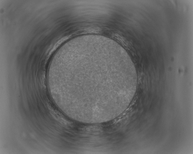 X0000070370146200606231656