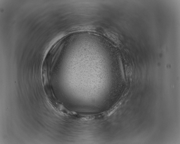 X0000070370148200606231656