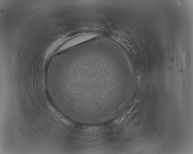 X0000070370149200606231656