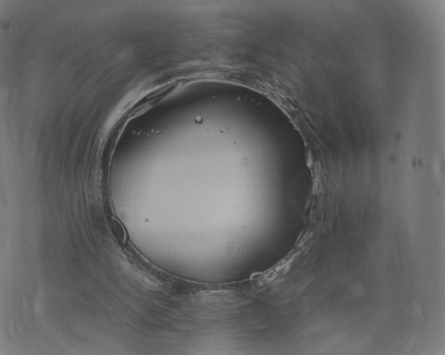 X0000070370150200606231656