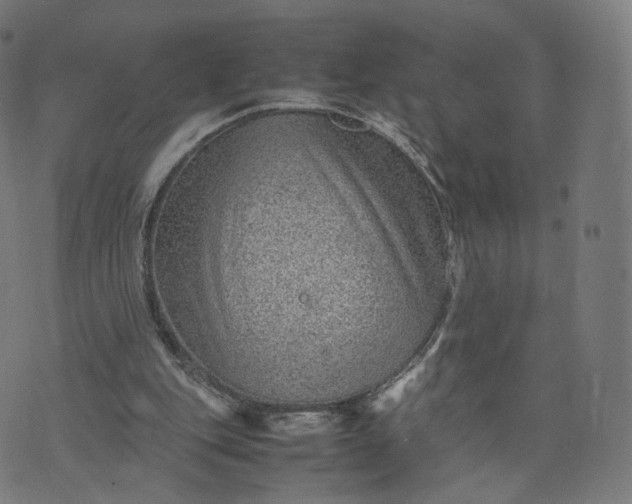 X0000070370151200606231656