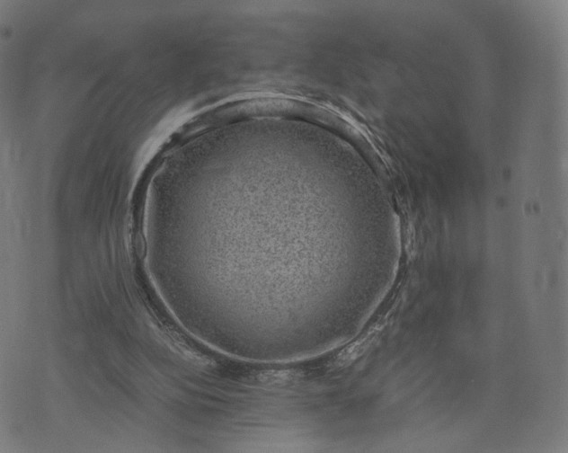 X0000070370152200606231656