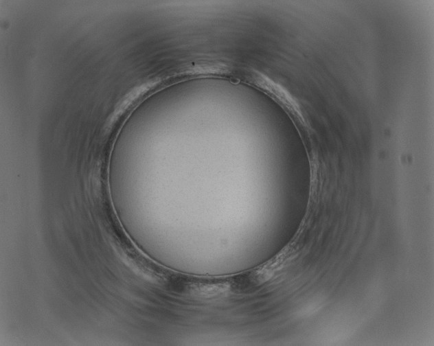 X0000070370155200606231656