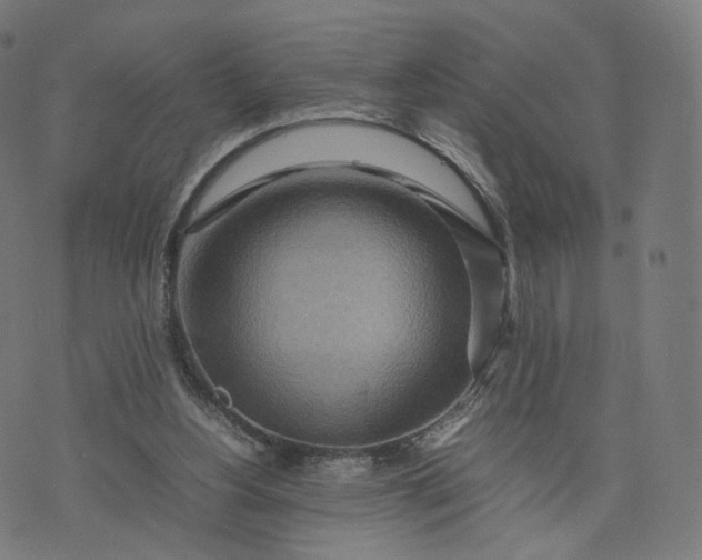 X0000070370156200606231656