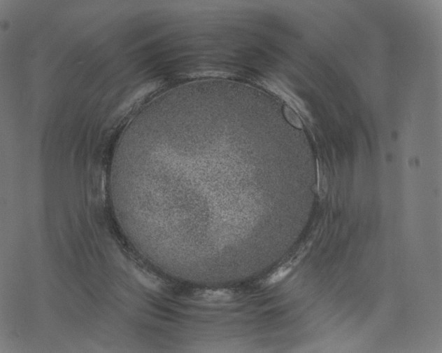 X0000070370157200606231656