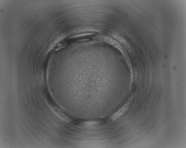 X0000070370158200606231656