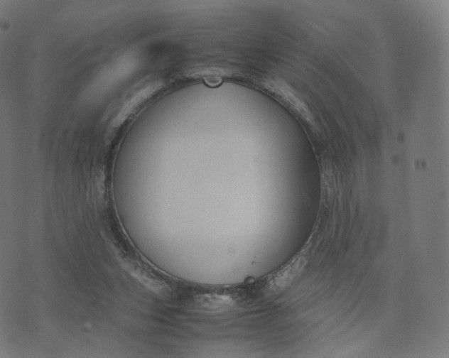 X0000070370159200606231656