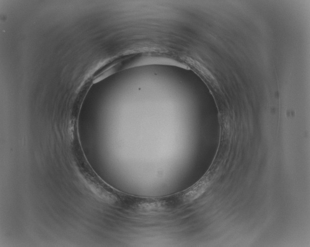 X0000070370160200606231656