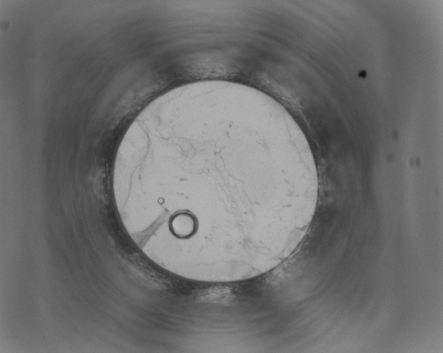 X0000070370162200606231656