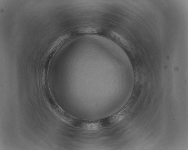 X0000070370163200606231656