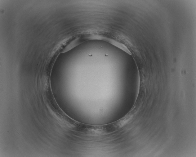 X0000070370164200606231656