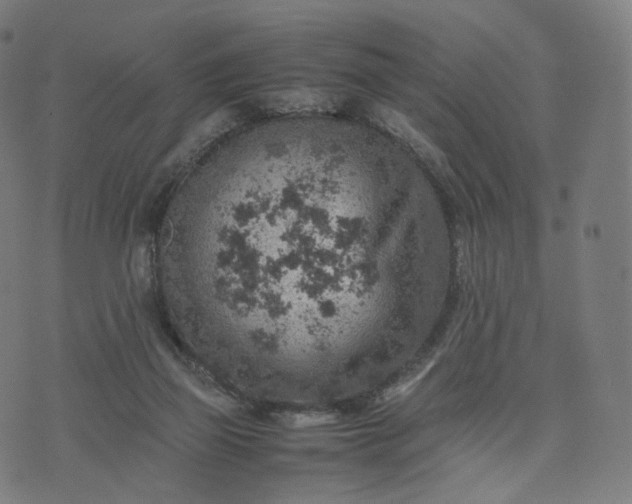 X0000070370165200606231656