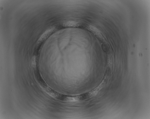 X0000070370167200606231656