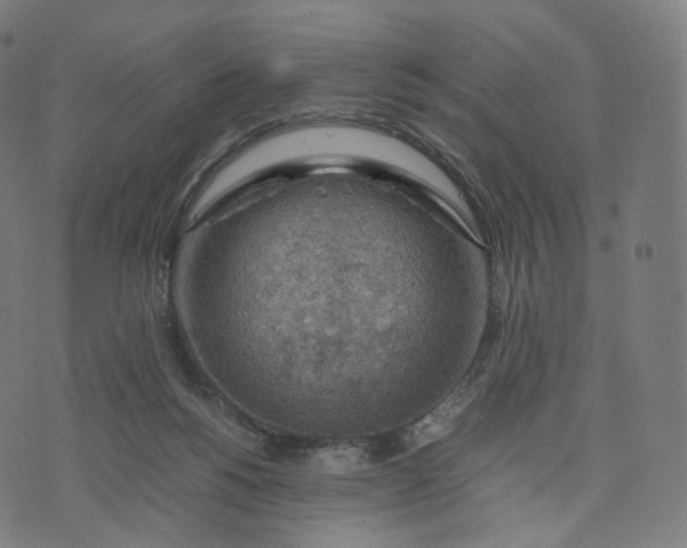 X0000070370168200606231656