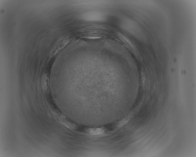 X0000070370169200606231656