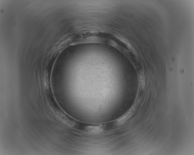 X0000070370170200606231656